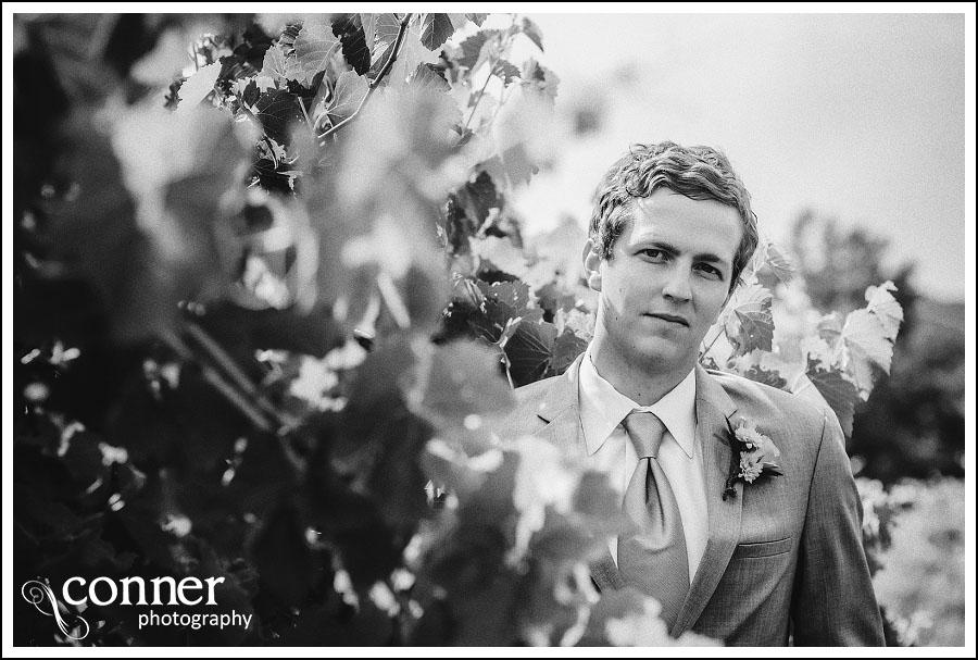 Chandler Hill Winery by St Louis Wedding Photographers (12)