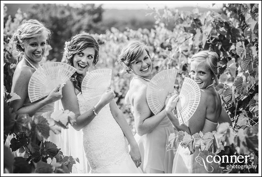 Chandler Hill Winery by St Louis Wedding Photographers (17)