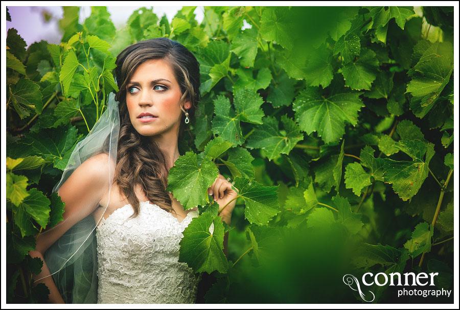 Chandler Hill Winery by St Louis Wedding Photographers (20)