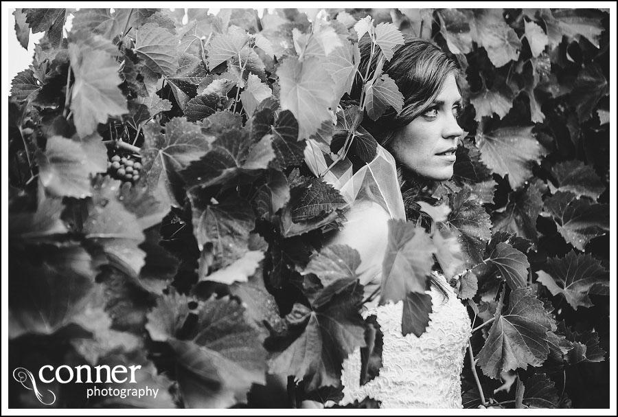 Chandler Hill Winery by St Louis Wedding Photographers (21)