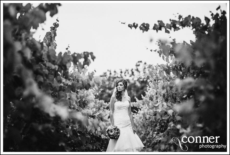 Chandler Hill Winery by St Louis Wedding Photographers (22)