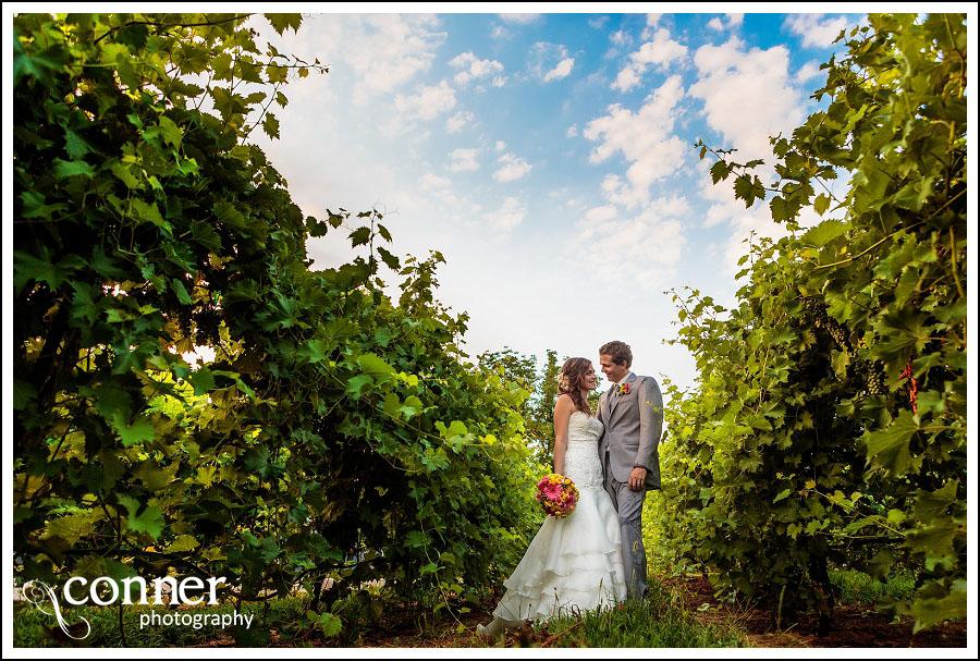Chandler Hill Winery by St Louis Wedding Photographers (48)