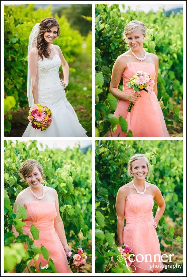 Chandler Hill Winery by St Louis Wedding Photographers (16)