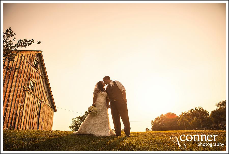 Villa Marie Winery Wedding by St Louis Wedding Photographers (37)