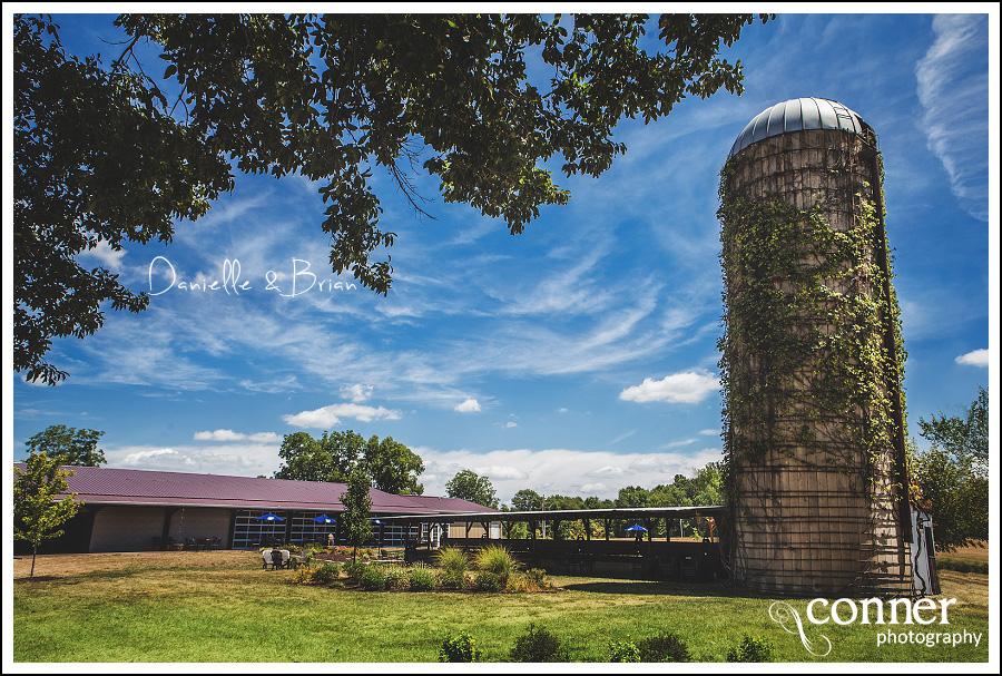 Weingarten Wedding Photo by St Louis Wedding Photographers (37)