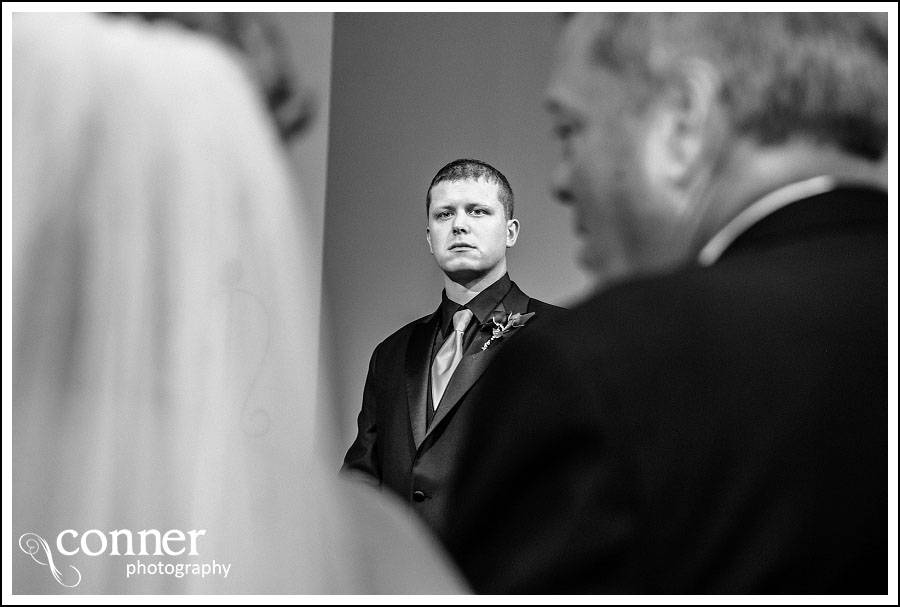 Springfield IL Wedding Photos (31)