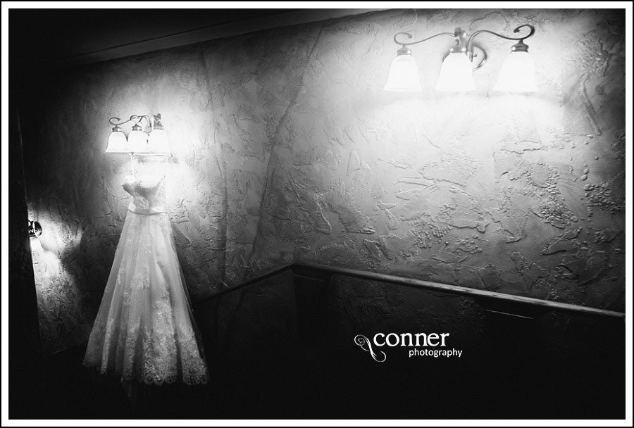 Villa Marie Winery Wedding Photos