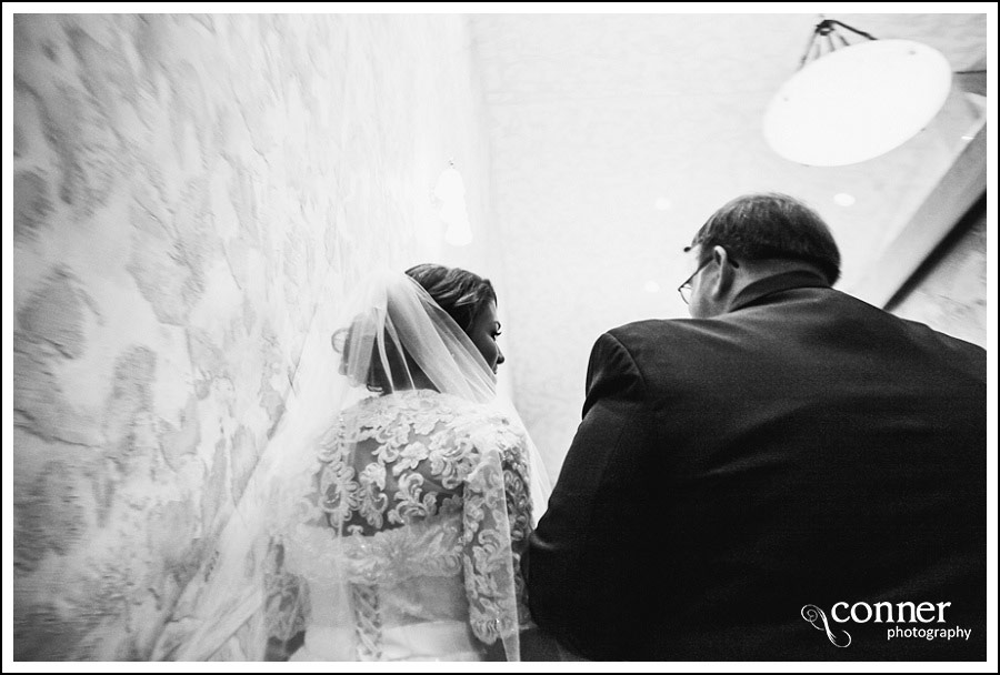 Villa Marie Winery Wedding Photos