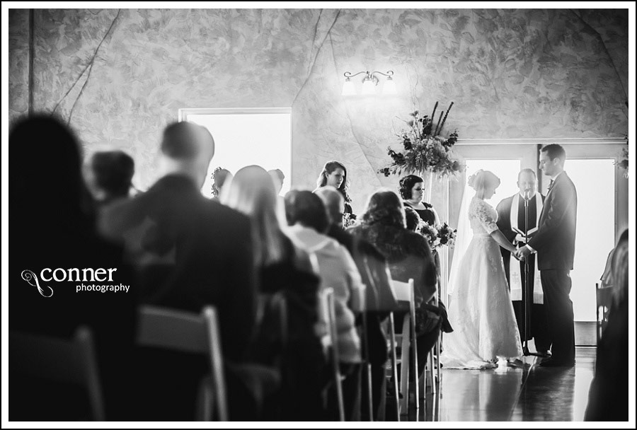 Villa Marie Winery Wedding Photos