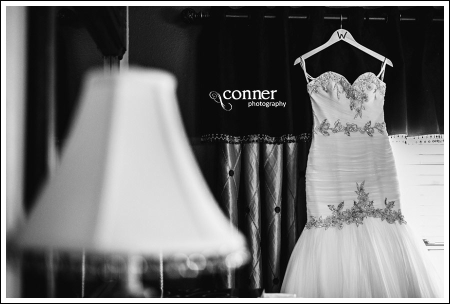 Waterloo & Columbia Wedding by St Louis Wedding Photographers