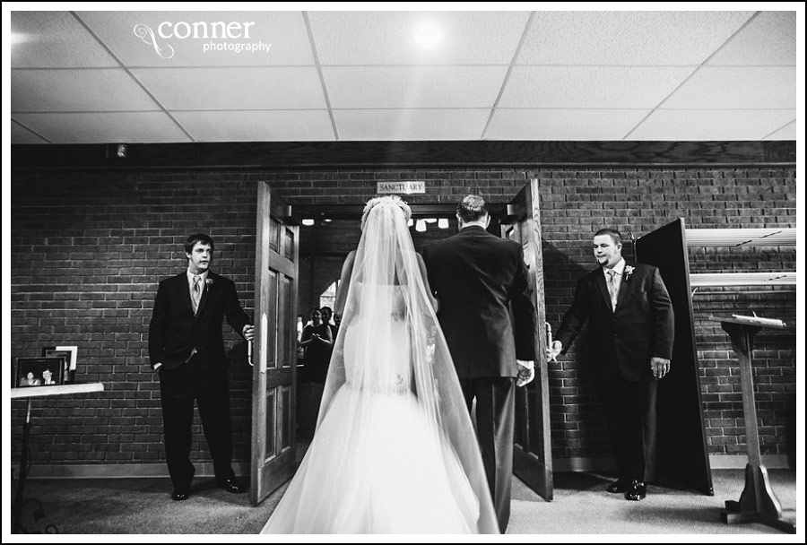 Waterloo & Columbia Wedding by St Louis Wedding Photographers