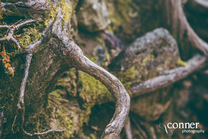 VSCO Film 03 in Yosemite by Conner Photography