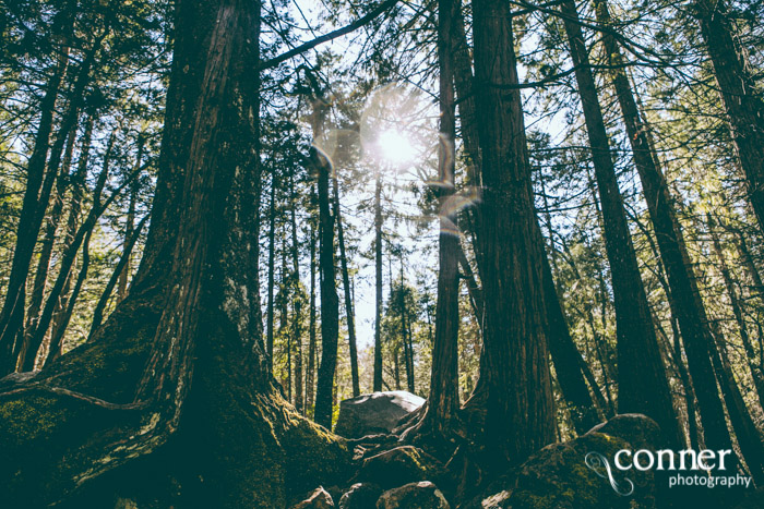 VSCO Film 03 in Yosemite by Conner Photography