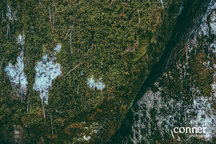 VSCO Film 03 in Yosemite by Conner Photography