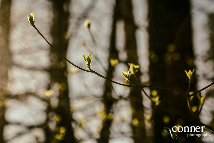 VSCO Film 03 in Yosemite by Conner Photography