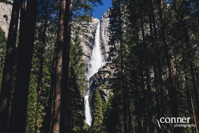 VSCO Film 03 in Yosemite by Conner Photography