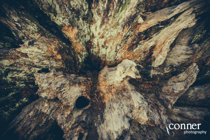 VSCO Film 03 in Yosemite by Conner Photography