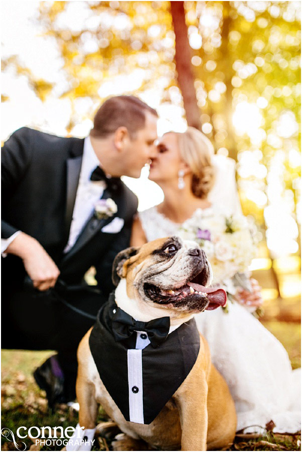 wedding with dog