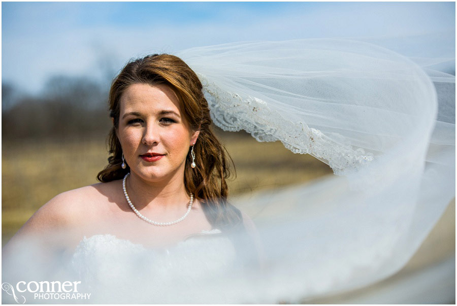 st louis winery wedding beautiful bride portrait