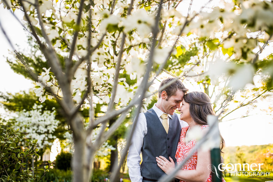 queeny-park-st-louis-engagement-photography-5