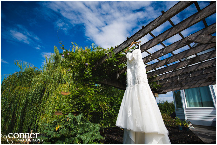 British Columbia Mountains Wedding dress