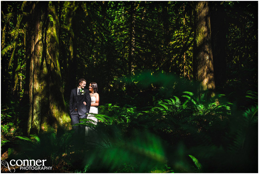 bridal falls wedding photos