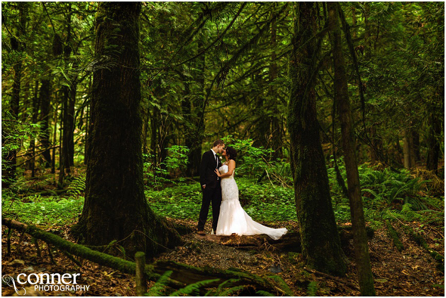 bridal falls wedding photos