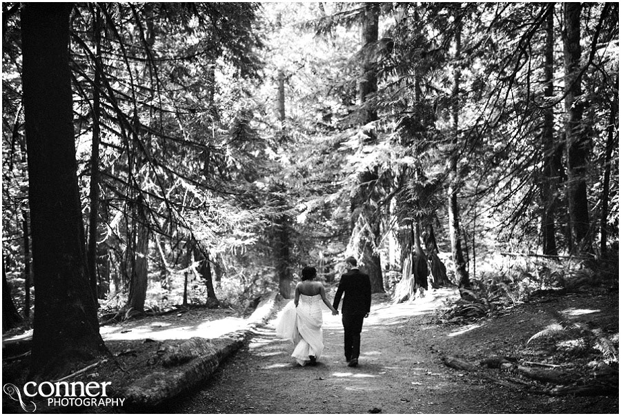 bridal falls wedding photos