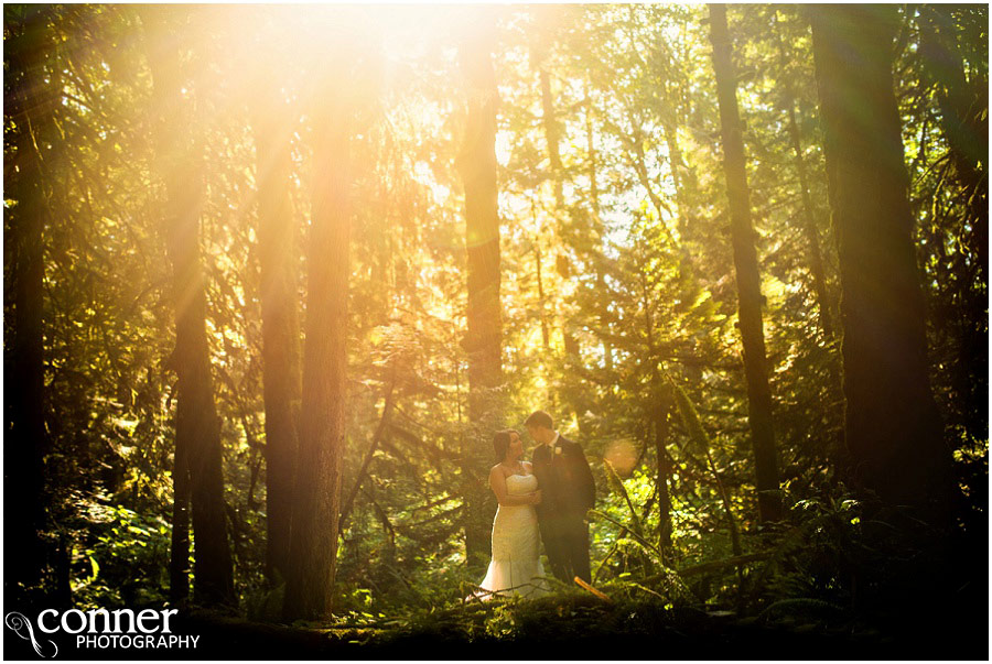 bridal falls wedding photos