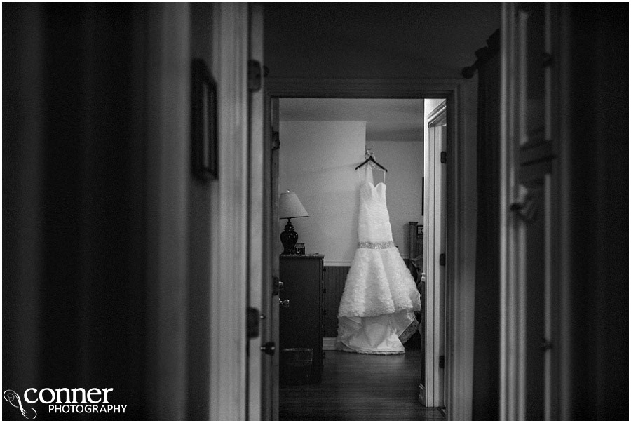 st louis wedding dress