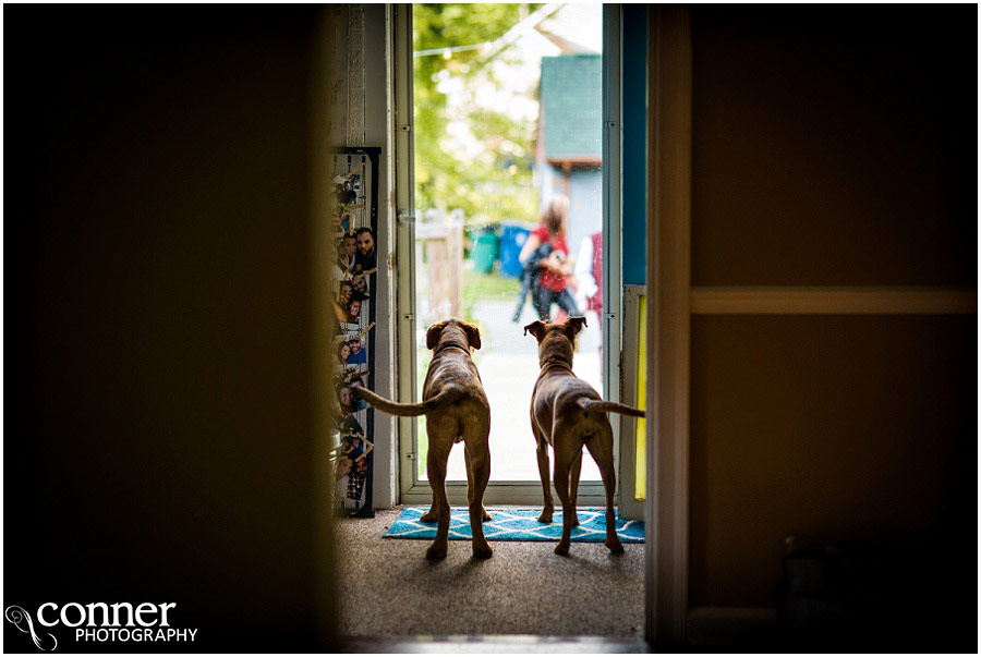 outdoor st louis wedding at home dog