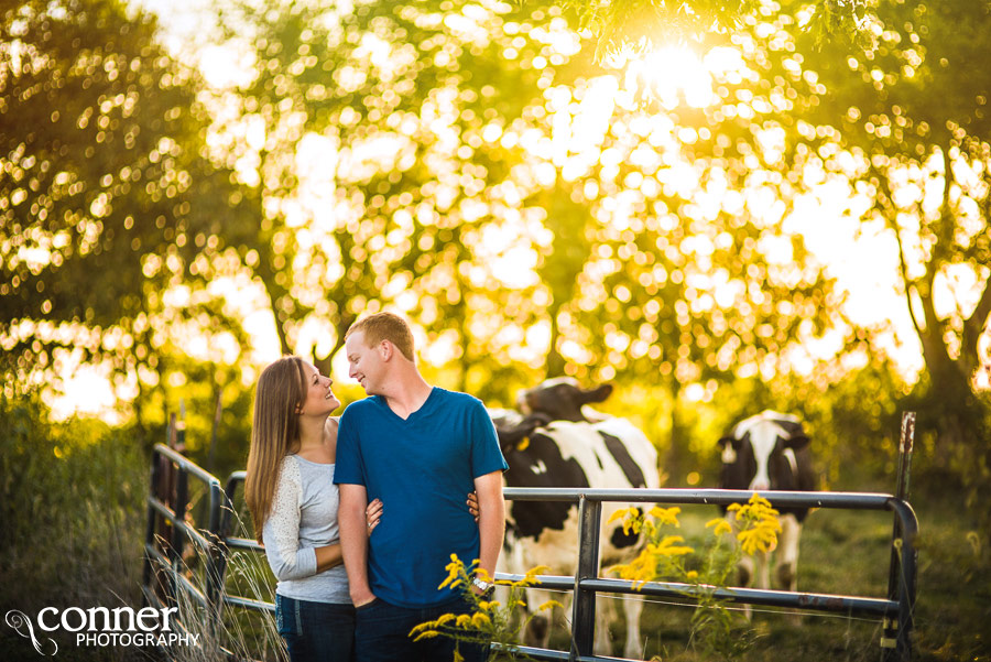 illinois dairy farm engagement photos