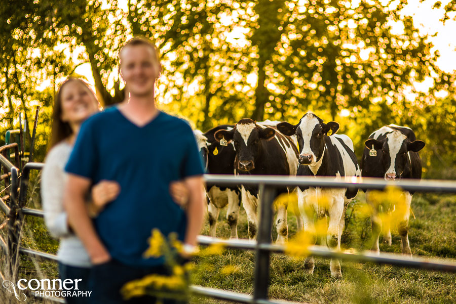 illinois dairy farm engagement photos