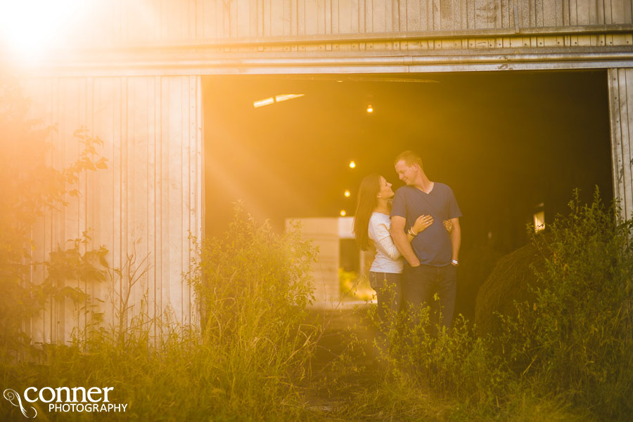 illinois dairy farm engagement photos