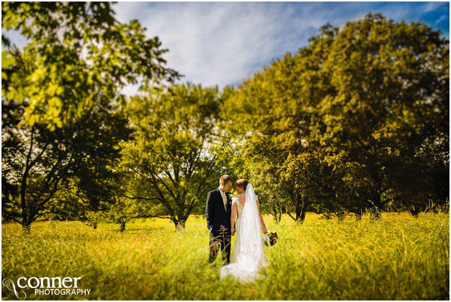 belvoir winery wedding bride and groom