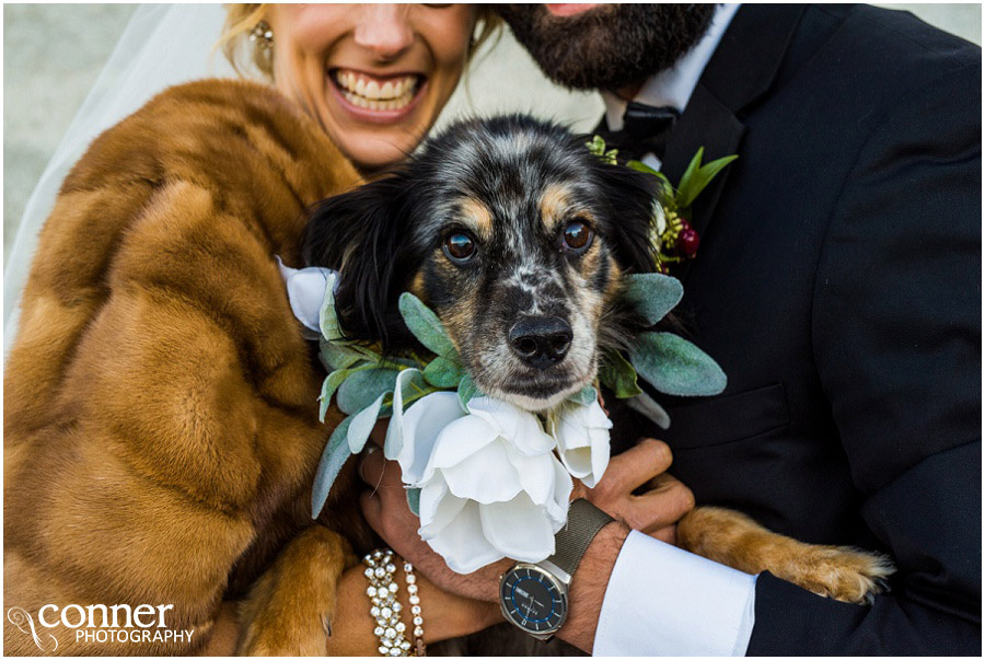 marriot st louis grand hotel wedding