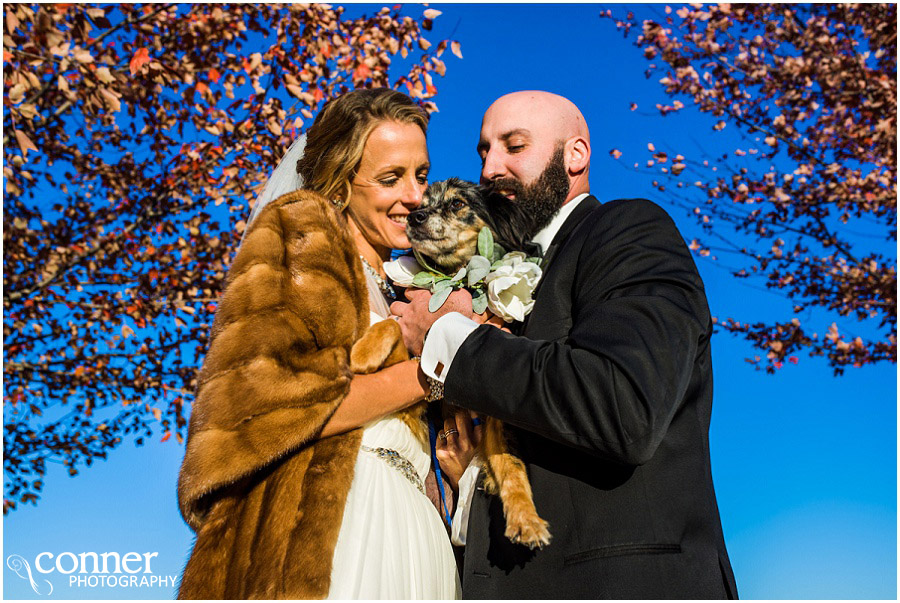 marriot st louis grand hotel wedding