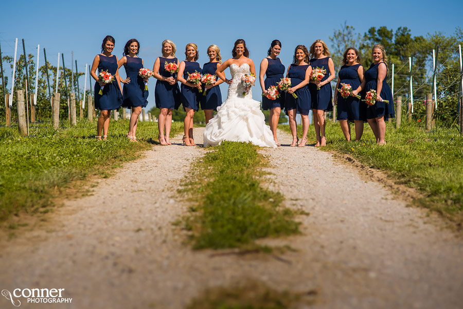 eckerts wedding photography belleville