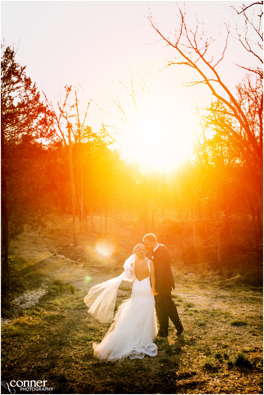 chandler will vineyards wedding sunset