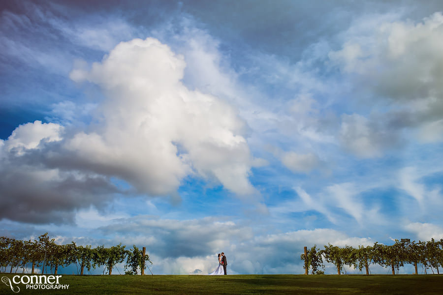 tuscan hills winery wedding effingham il 