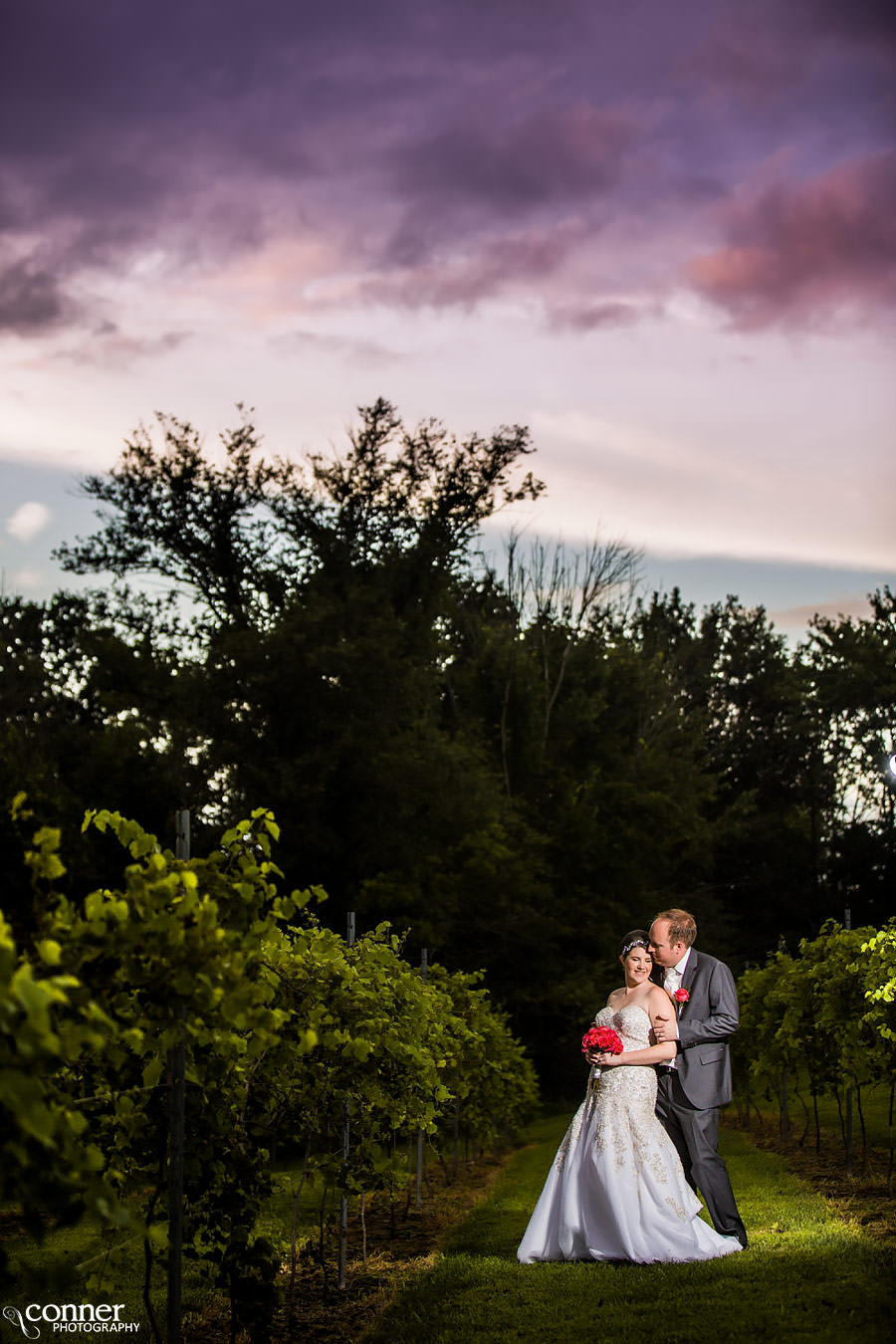 tuscan hills winery wedding effingham il 