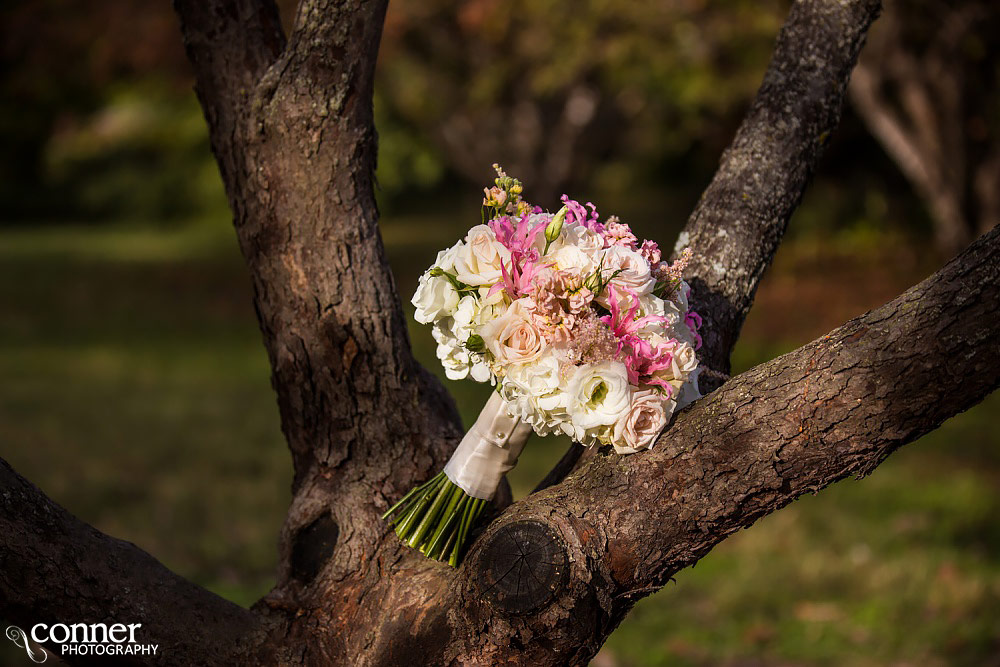 st louis forest park wedding photos