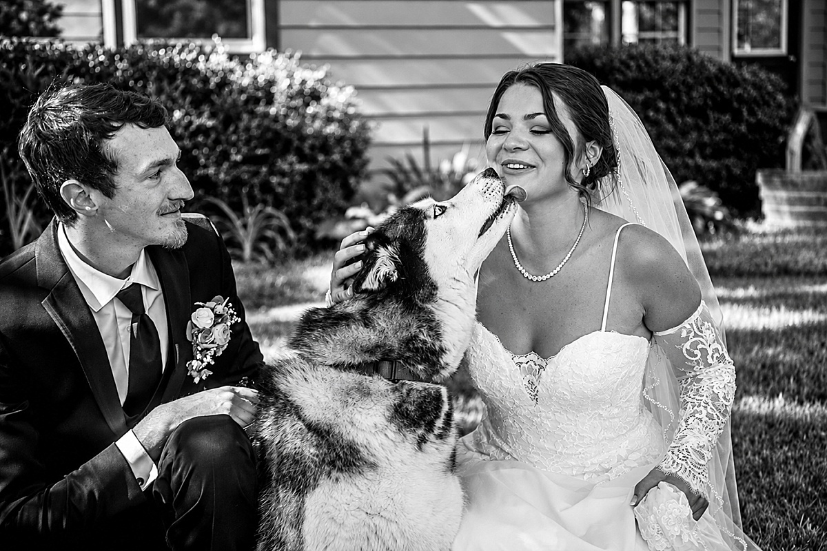 Black and white photo of Grace and Alex with their husky during wedding portraits